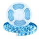 rgb cct led strip rgb cct led strip