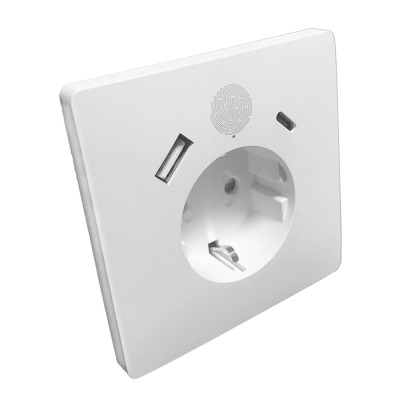 EU Zigbee smart wall outlet with Type-A+C ports 