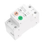2P WiFi Smart RCBO Residual Current Circuit Breaker 